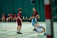 20260215-A7406208-scaled